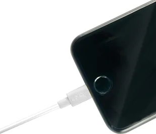 Lindy 31327 Kabel USB Apple Lightning 2m LY-31327 - Kable USB - miniaturka - grafika 2