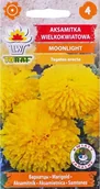 Nasiona i cebule - Toraf KWIATY Aksamikta wielkokwiatowa Moonlight 1g 03186 - miniaturka - grafika 1