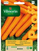 Nasiona i cebule - Vilmorin Marchew MAESTRO - miniaturka - grafika 1