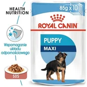 Mokra karma dla psów - Royal Canin Size Maxi Puppy karma mokra w sosie dla szczeniąt, od 2 do 15 miesiąca życia, ras dużych saszetka 140g 16428 - miniaturka - grafika 1
