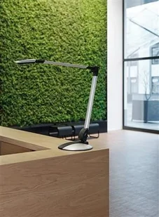 MAUL Lampka LED na biurko MAULoptimus Colour Vario, 10W, ze ściemniaczem, srebrna M8206795 - Lampy stojące - miniaturka - grafika 3