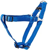 Smycze dla psów - Trixie Premium pasek zabawka, niebieski 4011905204628 - miniaturka - grafika 1