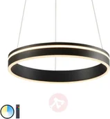 Systemy inteligentnych domów - Paul Neuhaus Inteligentna lampa wisząca ciemnoszara 40 cm z pilotem - Ronith - miniaturka - grafika 1