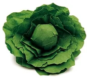 Zabawki AGD - Erzi łeb sałatkowy, łeb do zabawy, drewniana łeb sałatkowa, akcesoria do załadunku - miniaturka - grafika 1