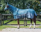 Derki dla konia - QHP Derka siatkowa z odpinanym kołnierzem i maską SS21 - 6284 - miniaturka - grafika 1