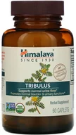 Witaminy i minerały dla sportowców - Himalaya Himalaya Tribulus 60 kapl. - miniaturka - grafika 1