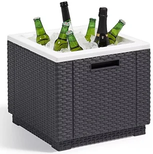 ALLIBERT Lodówka Pojemnik na lód i praktyczna pufa 213828 213828 - Pozostałe meble ogrodowe - miniaturka - grafika 17
