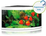 Akwaria i zestawy akwarystyczne - Juwel Trigon 350 LED biały - akwarium TRIGON 350 LED BIAŁY 15450 - miniaturka - grafika 1