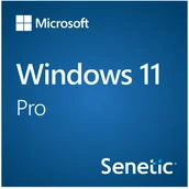 Oprogramowanie serwerowe - Microsoft Windows 11 Pro 64Bit Eng Intl 1pk DSP OEI DVD FQC-10528 - miniaturka - grafika 1