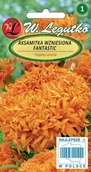 Nasiona i cebule - Legutko Aksamitka wzniesiona Fantastic pomarańczowe 5903837330232 - miniaturka - grafika 1