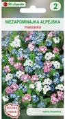 Nasiona i cebule - Legutko Niezapominajka alpejska MIESZANKA - miniaturka - grafika 1