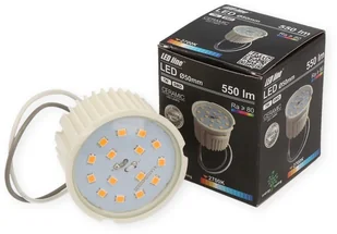 LED Line Żarówka SMD 220-260V 7W 550lm 50mm ŚCIEMNIALNA biała ciepła 2700K 248283 - Żarówki LED - miniaturka - grafika 2