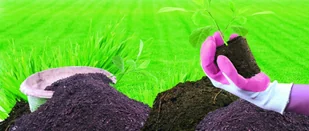 Spontex RĘKAWICE LADY GARDEN M 310037 000717 - Inne artykuły do sprzątania - miniaturka - grafika 5