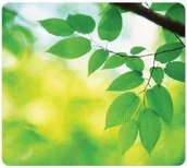 Podkładki pod mysz - Fellowes Podkładka pod mysz liście X07184 - miniaturka - grafika 1