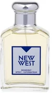Wody i perfumy męskie - Aramis New West Woda toaletowa 100ml - miniaturka - grafika 1