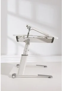 Paidi Kinderwelten Kinderwelten, Biurko, Jaro, Biały - Biurka dla dzieci - miniaturka - grafika 10