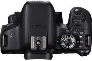 Canon EOS 800D + 18-55 IS STM (1895C002AA) - Aparaty Cyfrowe - miniaturka - grafika 8