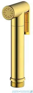 Omnires Y zestaw bidetowy punktowy podtynkowy 1-funkcyjny złoty SYSYBI2GL - Baterie bidetowe - miniaturka - grafika 6