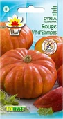 Nasiona i cebule - Toraf WARZYWA Dynia Rouge vif dEtampes 5g 01793 - miniaturka - grafika 1