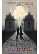 Powieści - Skarpa Warszawska Zaułki dobrej nadziei 9788363842604 - miniaturka - grafika 1