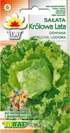 Nasiona na kiełki - Toraf Sałata Królowa Lata nasiona 1g sal-kro-lat-2g - miniaturka - grafika 1