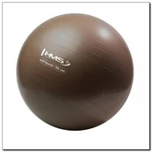 Piłki do ćwiczeń - HMS YB02 65CM ANTI-BURST BRĄZOWA GRIZZLY PIŁKA GIMNASTYCZNA 17-42-121 - miniaturka - grafika 1