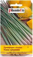 Trawy i trawniki - Plantico Trawa cytrynowa - miniaturka - grafika 1