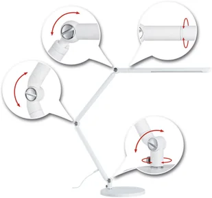 Paulmann FlexBar lampka biurkowa LED biała - Lampy stojące - miniaturka - grafika 5