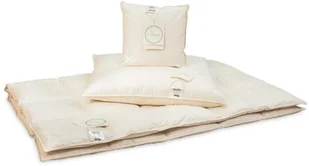 AMZ Kołdra Organic Cotton Całoroczna 155/200 - Kołdry - miniaturka - grafika 6