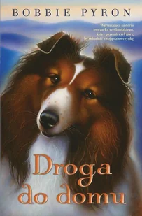 Pyron Bobby Droga do domu - Baśnie, bajki, legendy - miniaturka - grafika 2