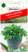 Nasiona i cebule - Plantico Rukola Mini Ogród - miniaturka - grafika 1