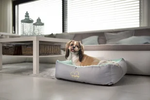 Ami Play SofaBabydoll - Legowiska dla psów - miniaturka - grafika 19