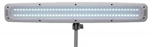 MAUL Lampka LED na biurko MAULwork, 21W, ze ściemniaczem, mocowana zaciskiem, biała M8205202 - Lampy stojące - miniaturka - grafika 5