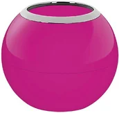 Kubki na szczoteczki do zębów - Spirella spirella 10.17246 róż szczoteczki kubek, miska, ciemny róż błyszczący 10.172459999999999 - miniaturka - grafika 1