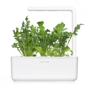CLICK AND GROW Click And Grow Kapsułki roślinne Click and Grow Plant Pods Rukola 3-Pack SGR19X3 4742793008769 - Systemy inteligentnych domów CLICK AND GROW Click And Grow Kapsułki roślinne Click and Grow Plant Pods Rukola 3-Pack SGR19X3 4742793008769 - Systemy inteligentnych domów - miniaturka - grafika 8