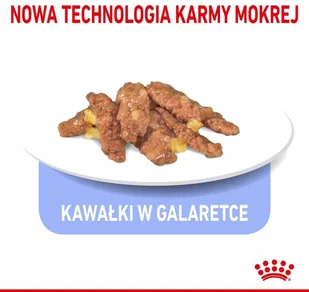 Royal Canin Indoor 400g 288060 - Mokra karma dla kotów - miniaturka - grafika 4