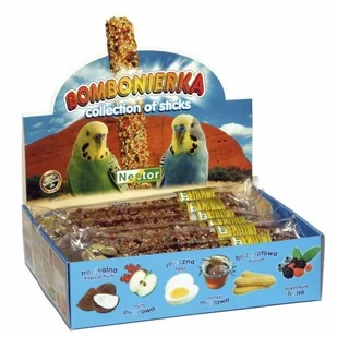 Nestor Bombonierka dla małych papug - Karma dla ptaków Nestor Bombonierka dla małych papug - Karma dla ptaków - miniaturka - grafika 1