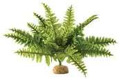 Dekoracje do terrarium - Exo Terra Boston Fern, m PT2995 - miniaturka - grafika 1