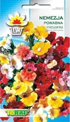 Nasiona i cebule - Toraf KWIATY Nemezja powabna mix nasiona 0,3g 00446 - miniaturka - grafika 1