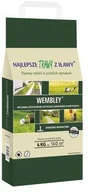 Trawy i trawniki - Najlepsze Trawy z Iławy Trawa sportowo - dekoracyjna WEMBLEY 4 kg - miniaturka - grafika 1