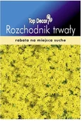 Nasiona i cebule - Top Decor Nasiona rozchodnik trwały - miniaturka - grafika 1
