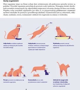 Wydawnictwo MAC Biologia. Podręcznik klasa 5 880797 - Podręczniki dla szkół podstawowych - miniaturka - grafika 6