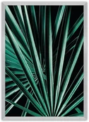 Plakaty - Dekoria Dekoria Plakat Dark Palm Tree 70 x 100 cm Ramka Srebrna 223G-000-18 - miniaturka - grafika 1