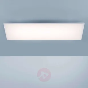 Paul Neuhaus Frameless lampa sufitowa RGBW 60x30cm - Lampy sufitowe - miniaturka - grafika 3