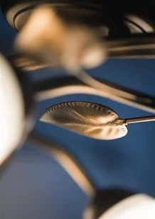 Lampex Plafon Bluszcz 3 090/3 C+M-0 - Lampy sufitowe - miniaturka - grafika 2