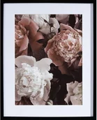 Obrazy i zdjęcia - Dekoria Obraz Peony Sunset II 40x50cm 40×50cm 183-042-00 - miniaturka - grafika 1