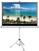 Ekrany projekcyjne - Aveli Aveli 265x149cm (XRT-00088) - miniaturka - grafika 1