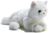 Maskotki i pluszaki - Unbekannt Pluszowe pluszaki & Company 05936  Perseo persiano  32 cm Plush & Company_05936 - miniaturka - grafika 1