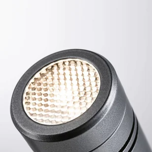 Paulmann Plug & Shine reflektor z grotem LED Radix - Lampy ogrodowe - miniaturka - grafika 2