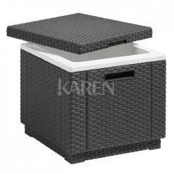 ALLIBERT Lodówka Pojemnik na lód i praktyczna pufa 213828 213828 - Pozostałe meble ogrodowe - miniaturka - grafika 7